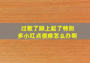 过敏了脚上起了特别多小红点很痒怎么办啊