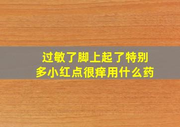 过敏了脚上起了特别多小红点很痒用什么药