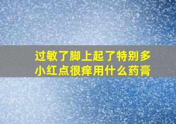 过敏了脚上起了特别多小红点很痒用什么药膏