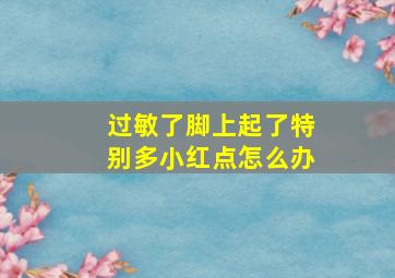 过敏了脚上起了特别多小红点怎么办