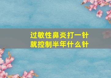 过敏性鼻炎打一针就控制半年什么针