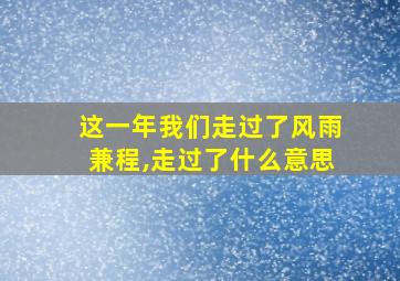 这一年我们走过了风雨兼程,走过了什么意思