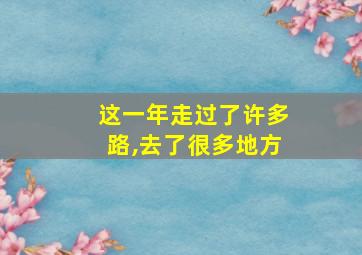 这一年走过了许多路,去了很多地方