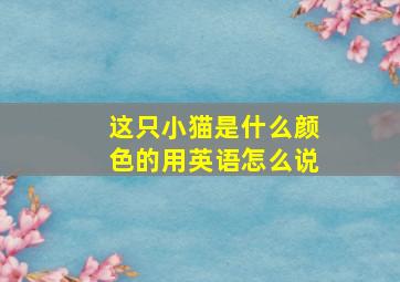 这只小猫是什么颜色的用英语怎么说