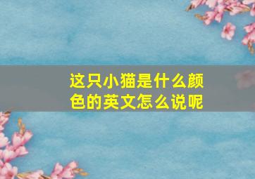 这只小猫是什么颜色的英文怎么说呢