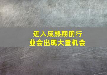 进入成熟期的行业会出现大量机会