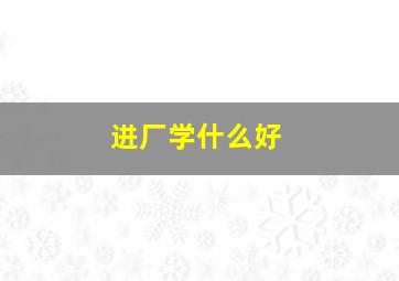 进厂学什么好