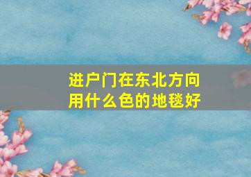 进户门在东北方向用什么色的地毯好