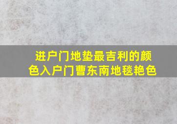 进户门地垫最吉利的颜色入户门曹东南地毯艳色