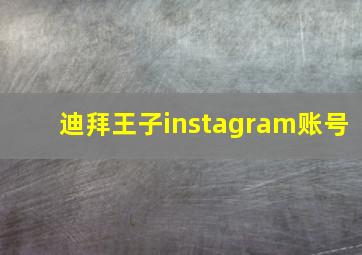 迪拜王子instagram账号