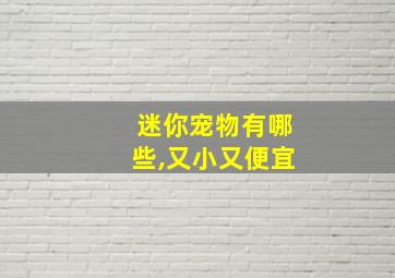 迷你宠物有哪些,又小又便宜