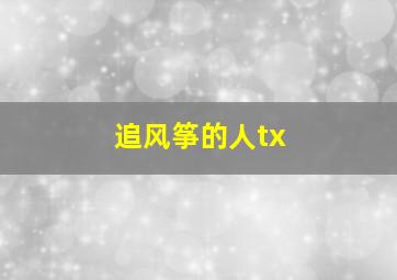 追风筝的人tx