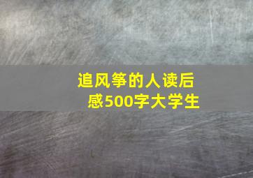 追风筝的人读后感500字大学生