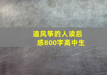 追风筝的人读后感800字高中生