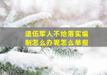 退伍军人不给落实编制怎么办呢怎么举报