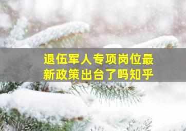 退伍军人专项岗位最新政策出台了吗知乎