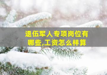 退伍军人专项岗位有哪些,工资怎么样算