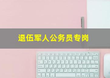 退伍军人公务员专岗