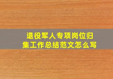 退役军人专项岗位归集工作总结范文怎么写