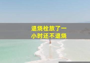 退烧栓放了一小时还不退烧