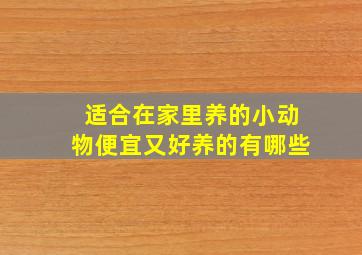 适合在家里养的小动物便宜又好养的有哪些