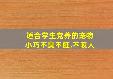 适合学生党养的宠物小巧不臭不脏,不咬人