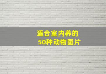 适合室内养的50种动物图片