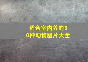 适合室内养的50种动物图片大全