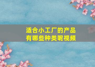 适合小工厂的产品有哪些种类呢视频