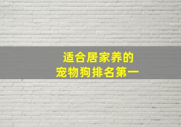 适合居家养的宠物狗排名第一