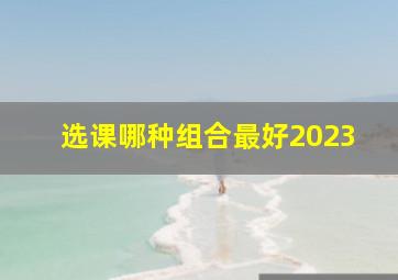 选课哪种组合最好2023