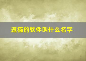 逗猫的软件叫什么名字