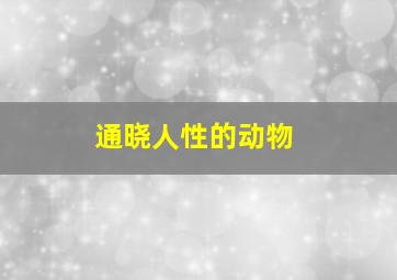 通晓人性的动物