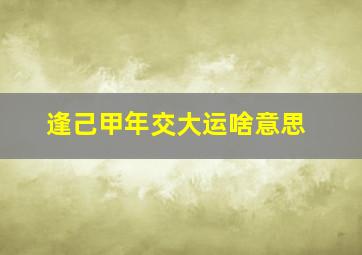 逢己甲年交大运啥意思