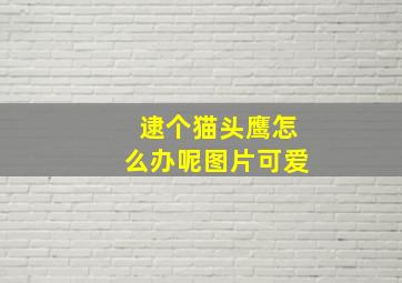 逮个猫头鹰怎么办呢图片可爱