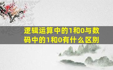 逻辑运算中的1和0与数码中的1和0有什么区别