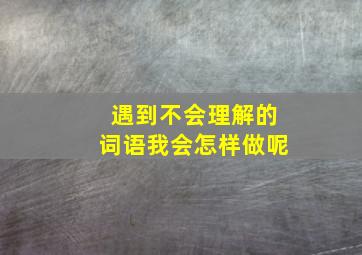 遇到不会理解的词语我会怎样做呢