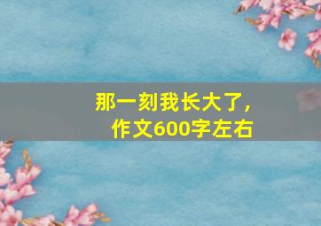 那一刻我长大了,作文600字左右