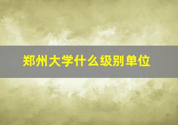 郑州大学什么级别单位