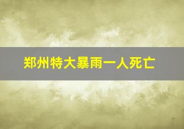 郑州特大暴雨一人死亡