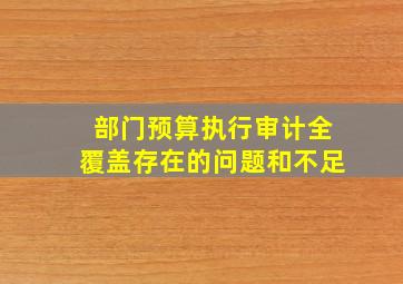 部门预算执行审计全覆盖存在的问题和不足