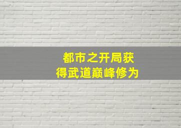 都市之开局获得武道巅峰修为