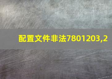 配置文件非法7801203,2