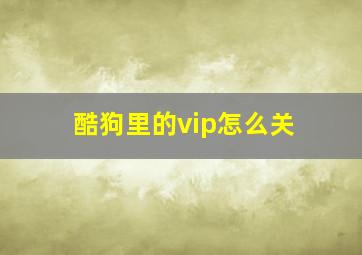 酷狗里的vip怎么关