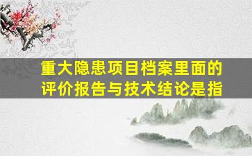 重大隐患项目档案里面的评价报告与技术结论是指