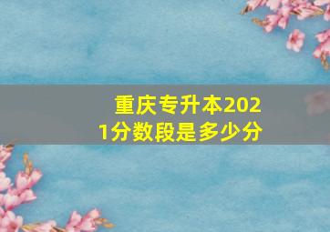 重庆专升本2021分数段是多少分