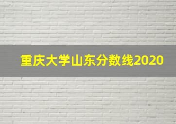 重庆大学山东分数线2020