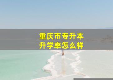 重庆市专升本升学率怎么样