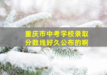 重庆市中考学校录取分数线好久公布的啊