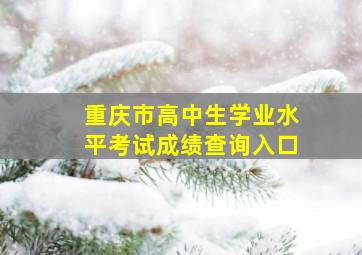 重庆市高中生学业水平考试成绩查询入口